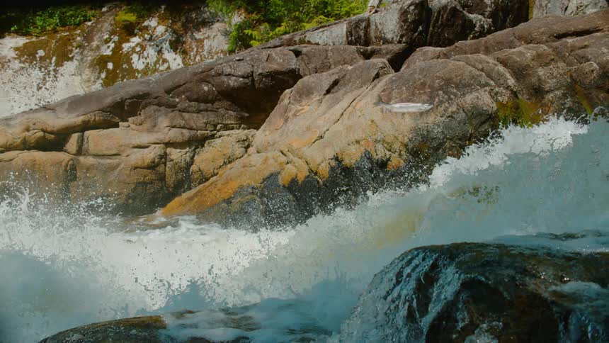 A fish jumps out of the rushing river