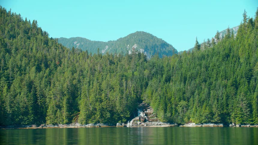 Pine trees surround a mountain lake on a sunny day