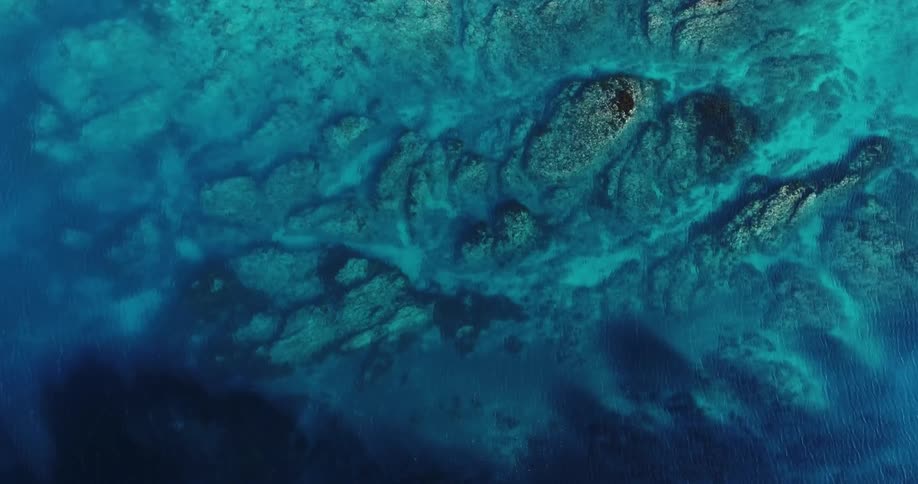 View of the ocean floor