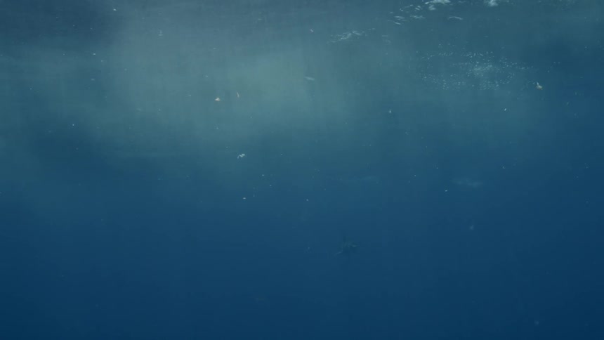 Ocean water ripples and flows at the surface