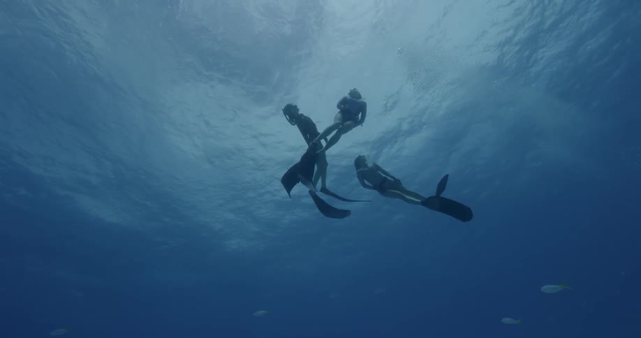 Three divers swim to the surface