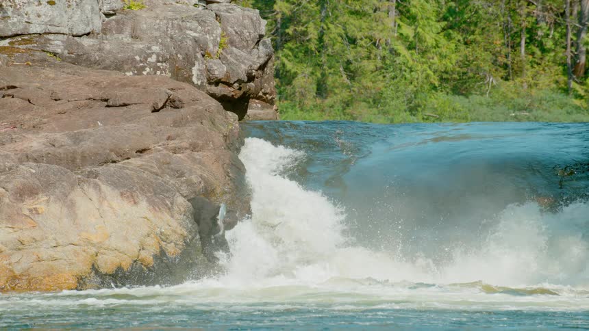 A bear looking for fish near a small waterfall