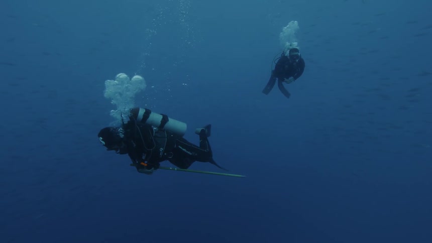 Divers swim in the ocean