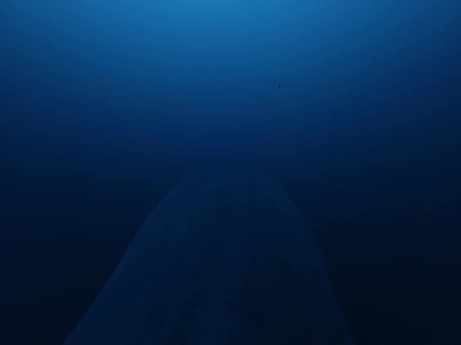 A whale swims in the dark ocean