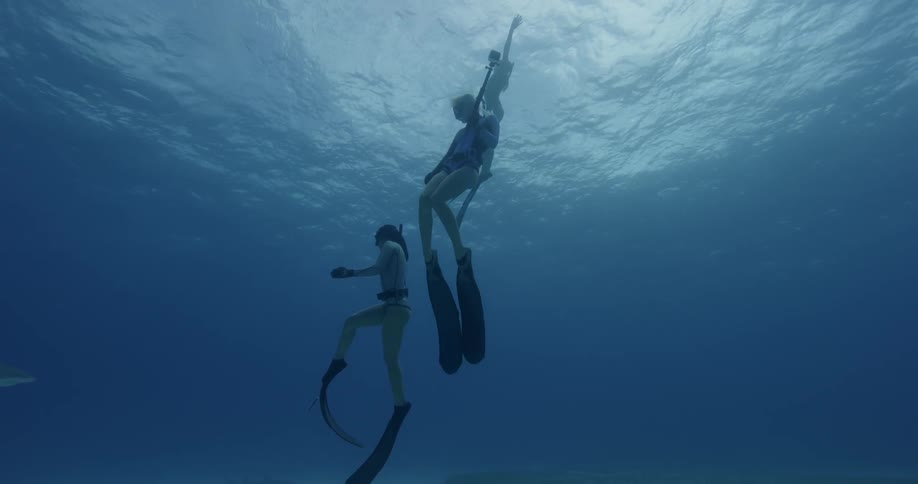 Three female free divers swim towards the surface
