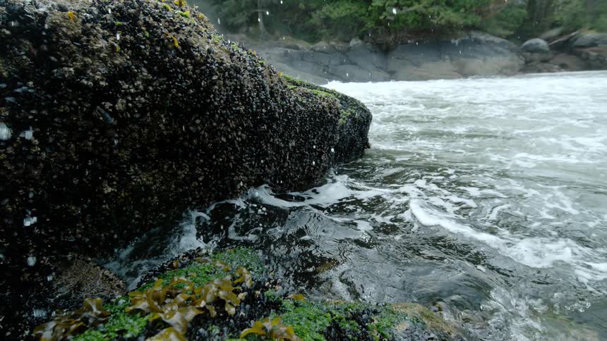 River water splashes against the rocky bank