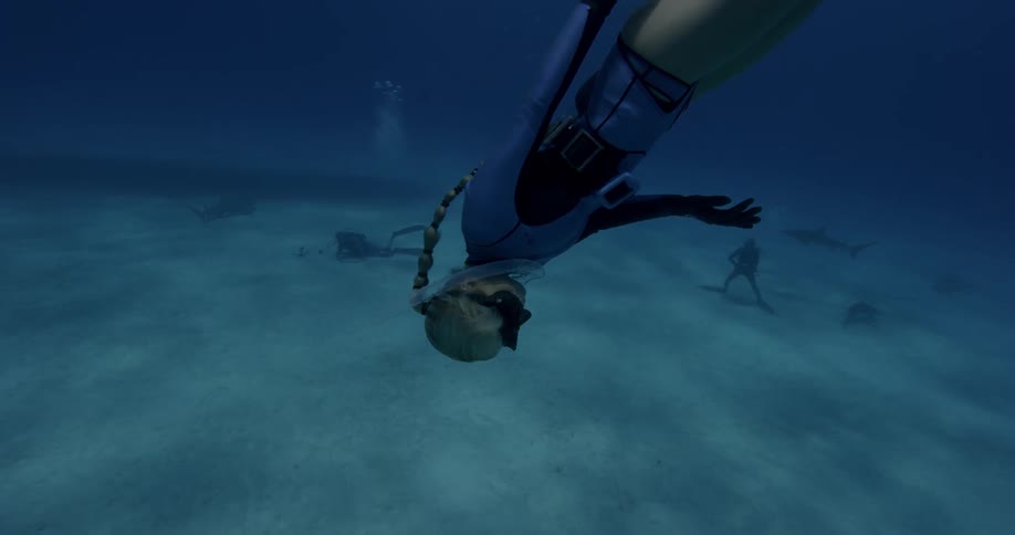A group of women are diving down into shallow ocean waters during the day