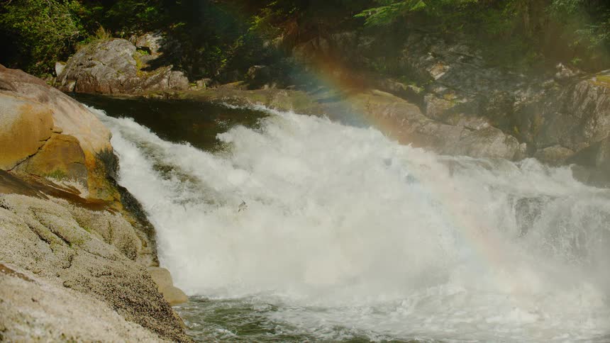 A fish jumps out of the river and against the rushing river