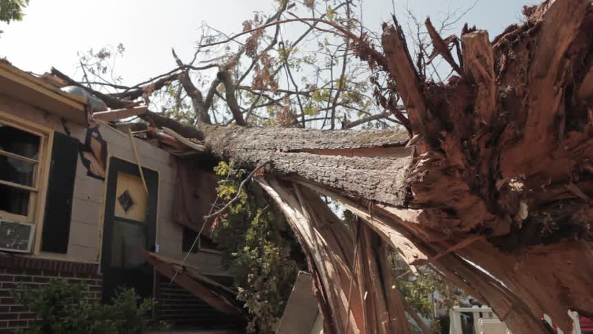 A tree has fallen on a home