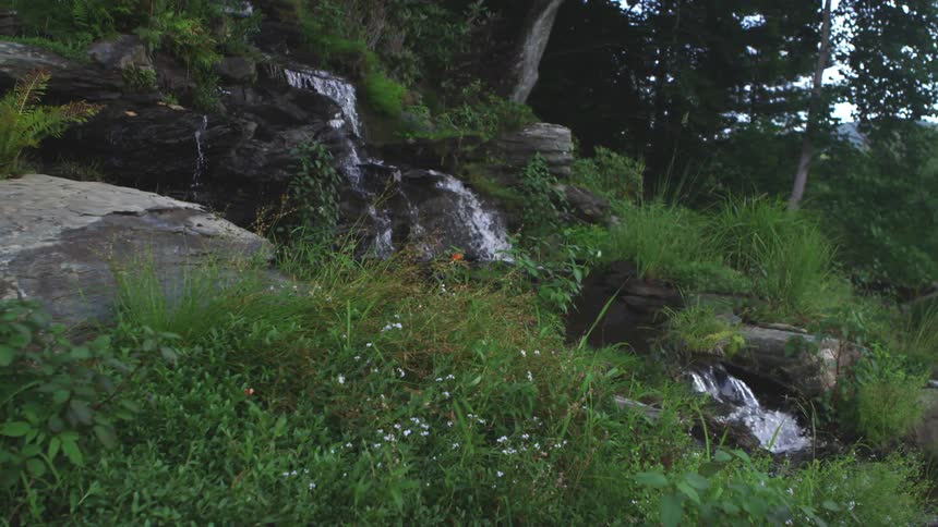 A small waterfall with greens all over