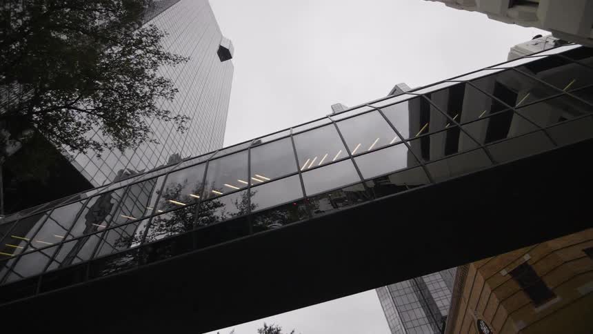 A tree is reflected in the glass of a pedestrian walkway