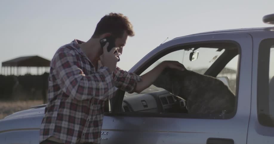 A man on a phone pets his dog
