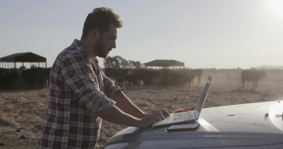A man uses a laptop on the hood of his truck