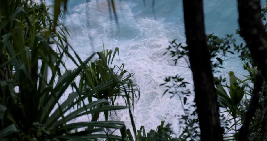 View looking through palm trees at ocean waves