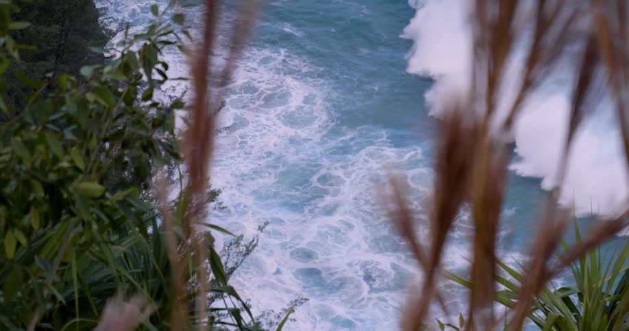 Waves roll onto a beach near trees