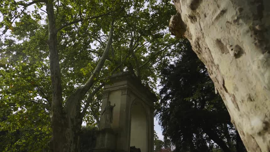 Small stone archway in the middle of tall trees