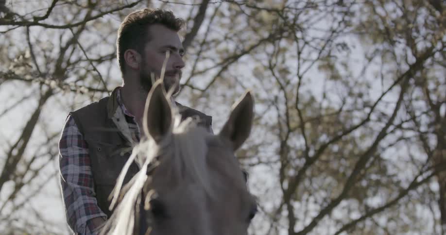 Man sitting on a horse on a sunny day