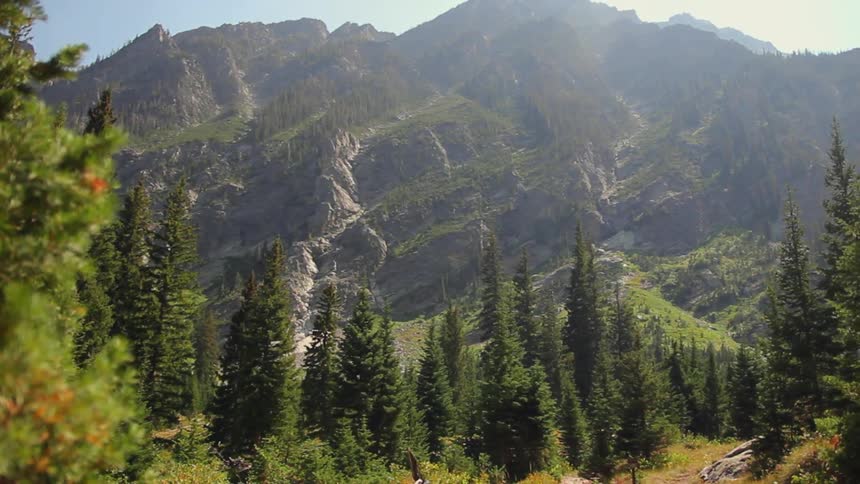 A tree covered mountain during the day