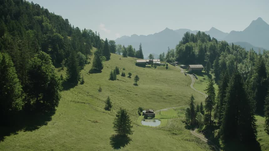 The mountain range is covered with many trees