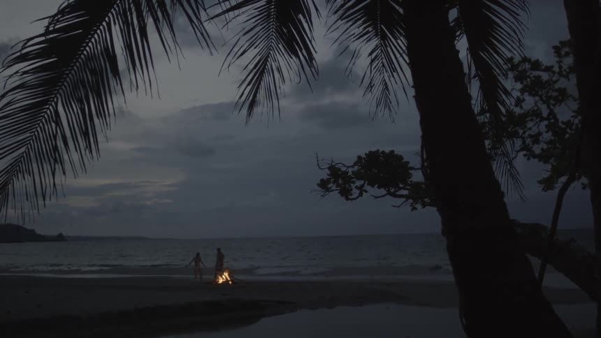 People standing on a beach near a small fire