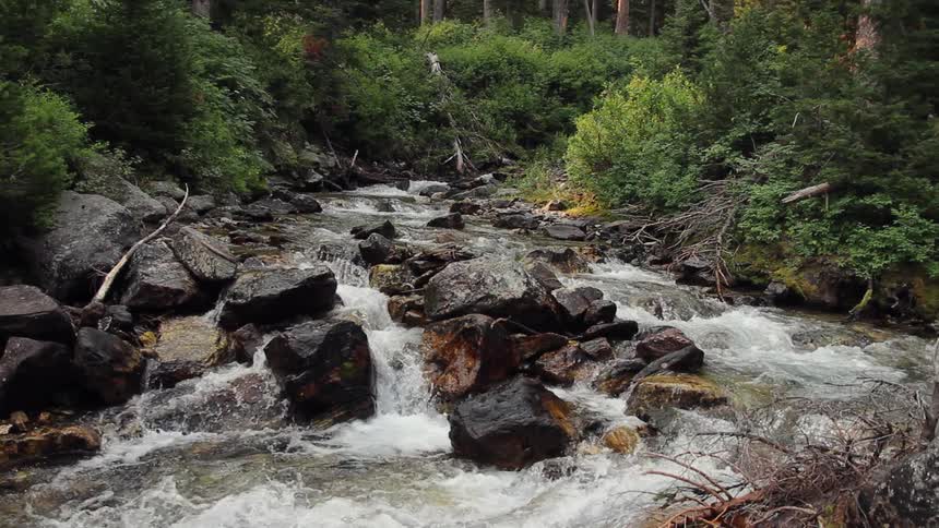 Water rushing through rocks in the woods