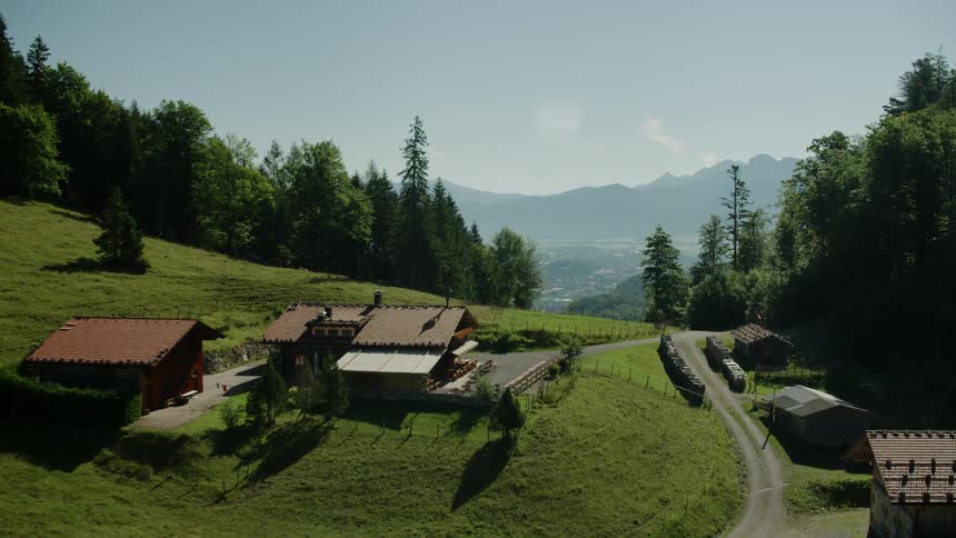 A city on a hill near a forest