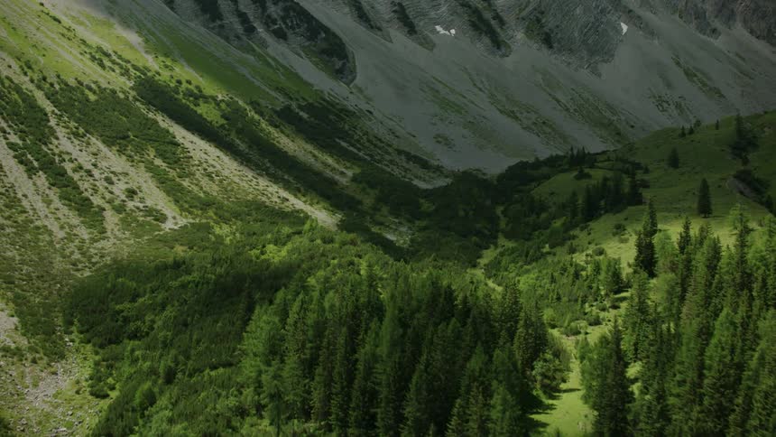 Tall trees line the bottom of this mountain
