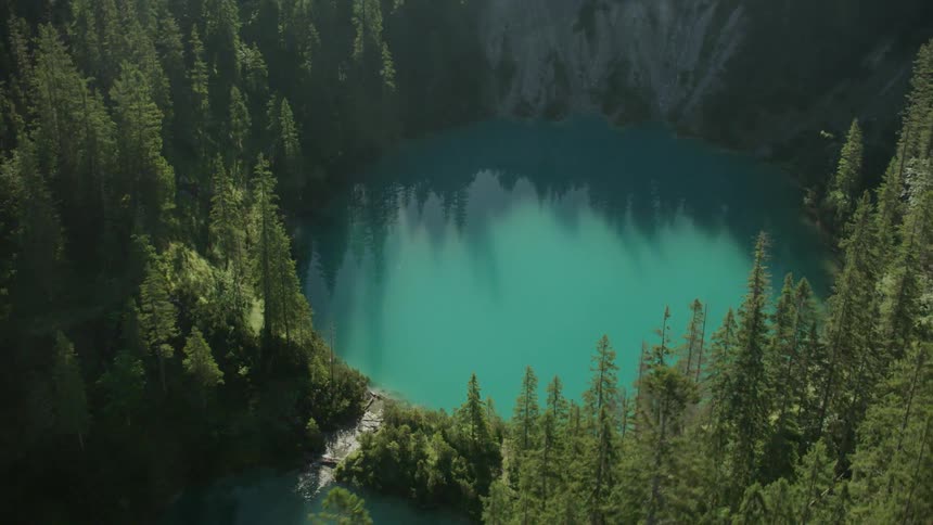 A small body of water lies in the middle of this huge forest