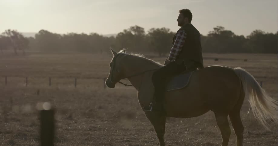 Man sits on a horse and looks out across a grassy pasture