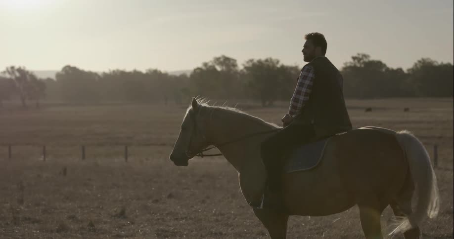 A man rides a horse in a rural field