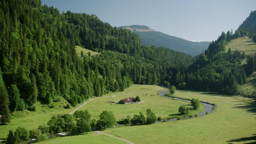A green field is opened up near a forest