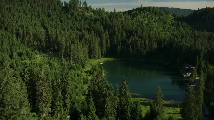The hills are covered with very tall green trees