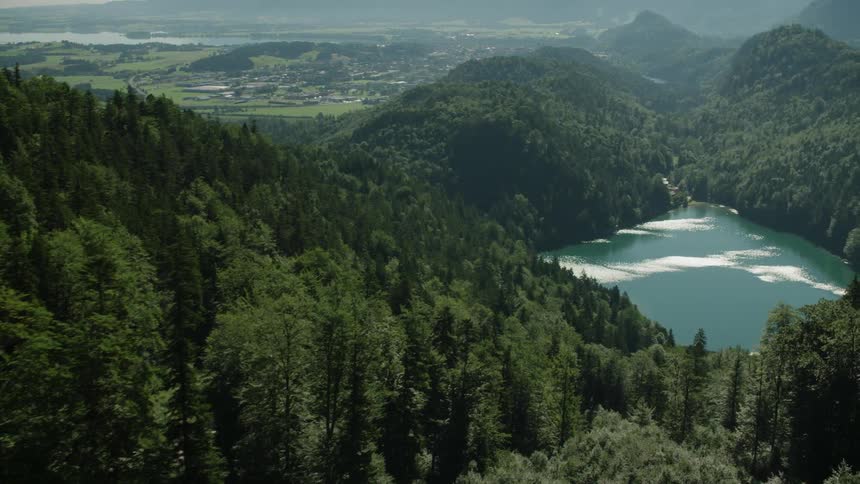 Aerial view of a lake surrounded by a large forest