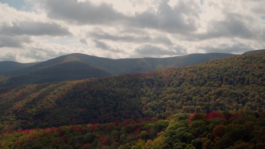 The hills and mountains ahead have many trees covering it