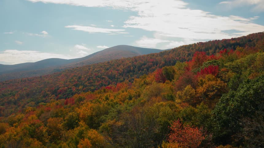 The sky is clearing above this mountain covered with trees