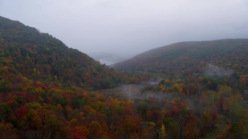 The forests on the hills lead to water covered with fog