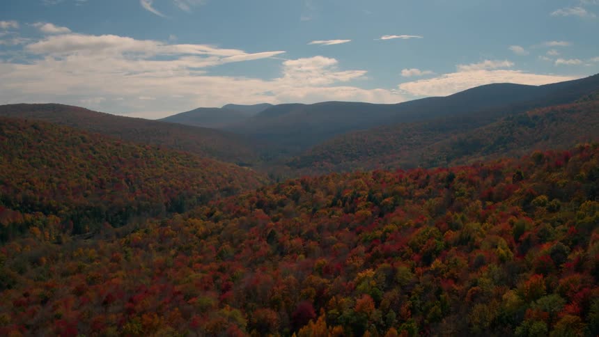 Colorful fall trees cover a mountainside on a sunny day