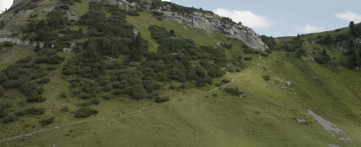 Trees and shrubs cover a mountainside