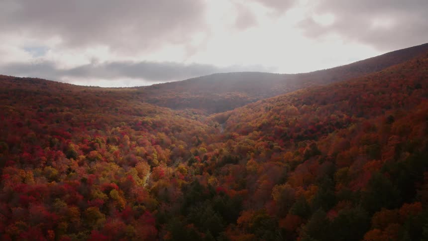 The sun is shining in through the clouds on the forest