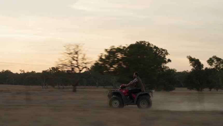 A man is riding a quad atv on a ranch at dusk or morning