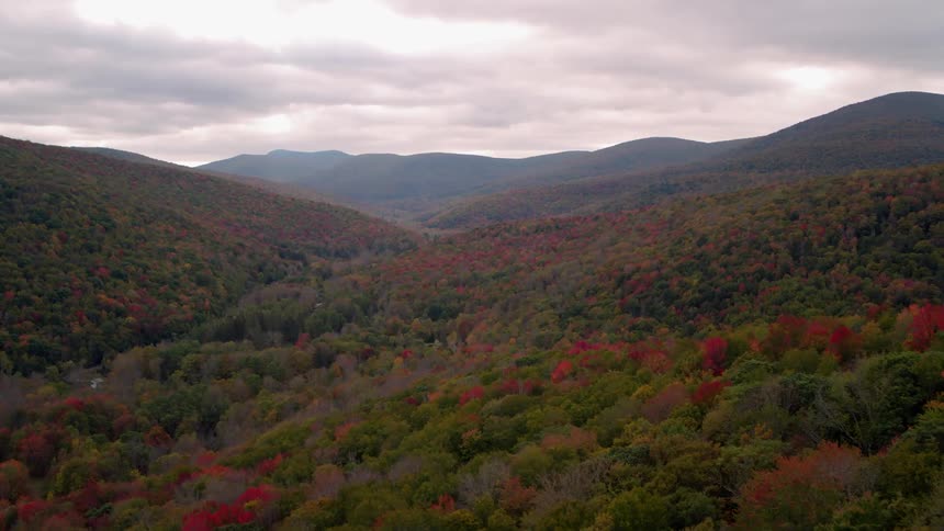 The mountains are covered with trees and they are red yellow and green colored