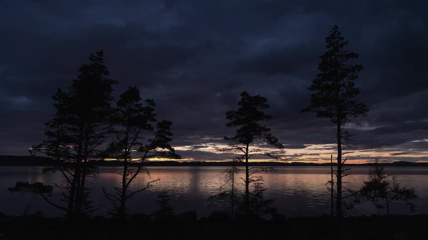 Trees lining a shore as night arrives
