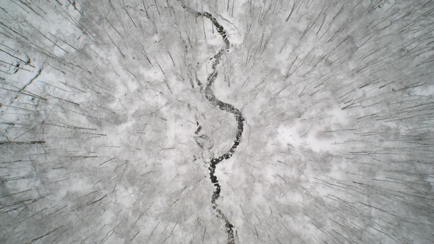 The forest below has barren trees and frost all over