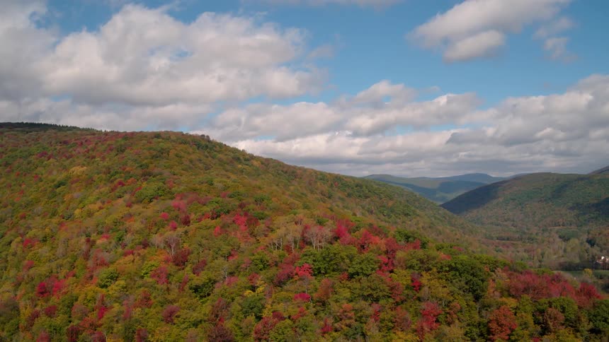Colorful autumn trees in mountain forest on cloudy evening