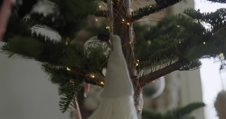 Decorations hang from a pine tree lit with lights
