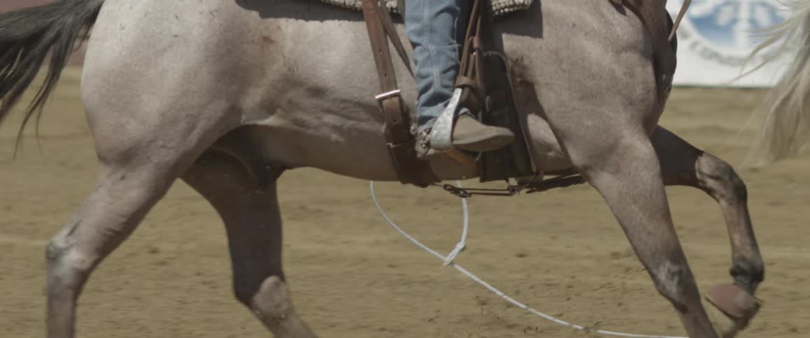 A cowboy rides a horse with a lasso trailing on the ground