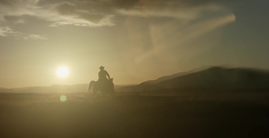 A cowboy rides a horse in a field at sunset