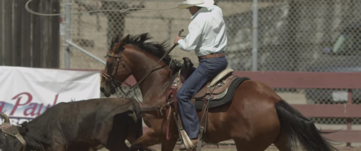 Man riding a horse in a pen waving a lasso