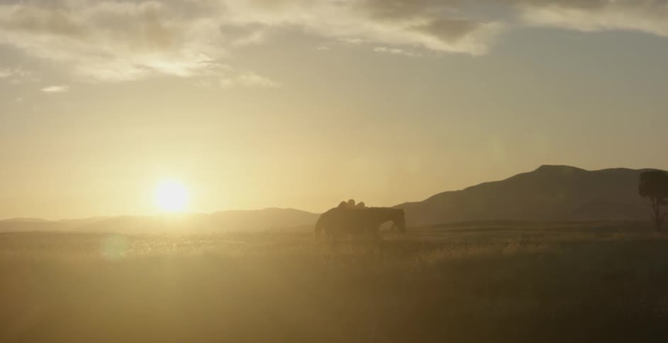A man gets off a horse while the sun is setting