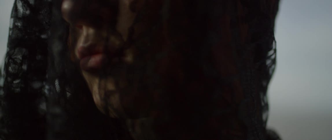 Close up of a woman's face behind a veil